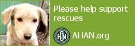 Support Animal Rescues at AHAN.org