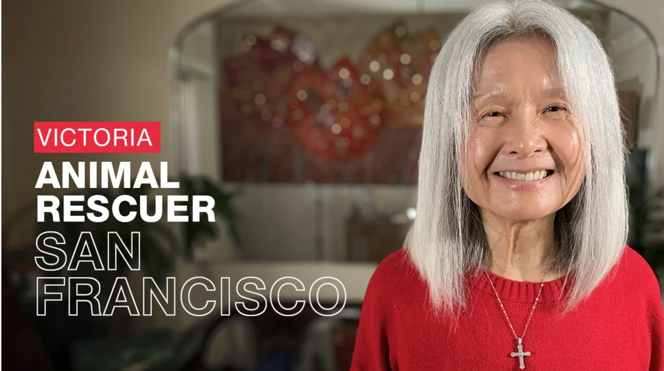 AHAN San Francisco Bay Area Dog Rescue & Dog Adoption. SF Bay Area